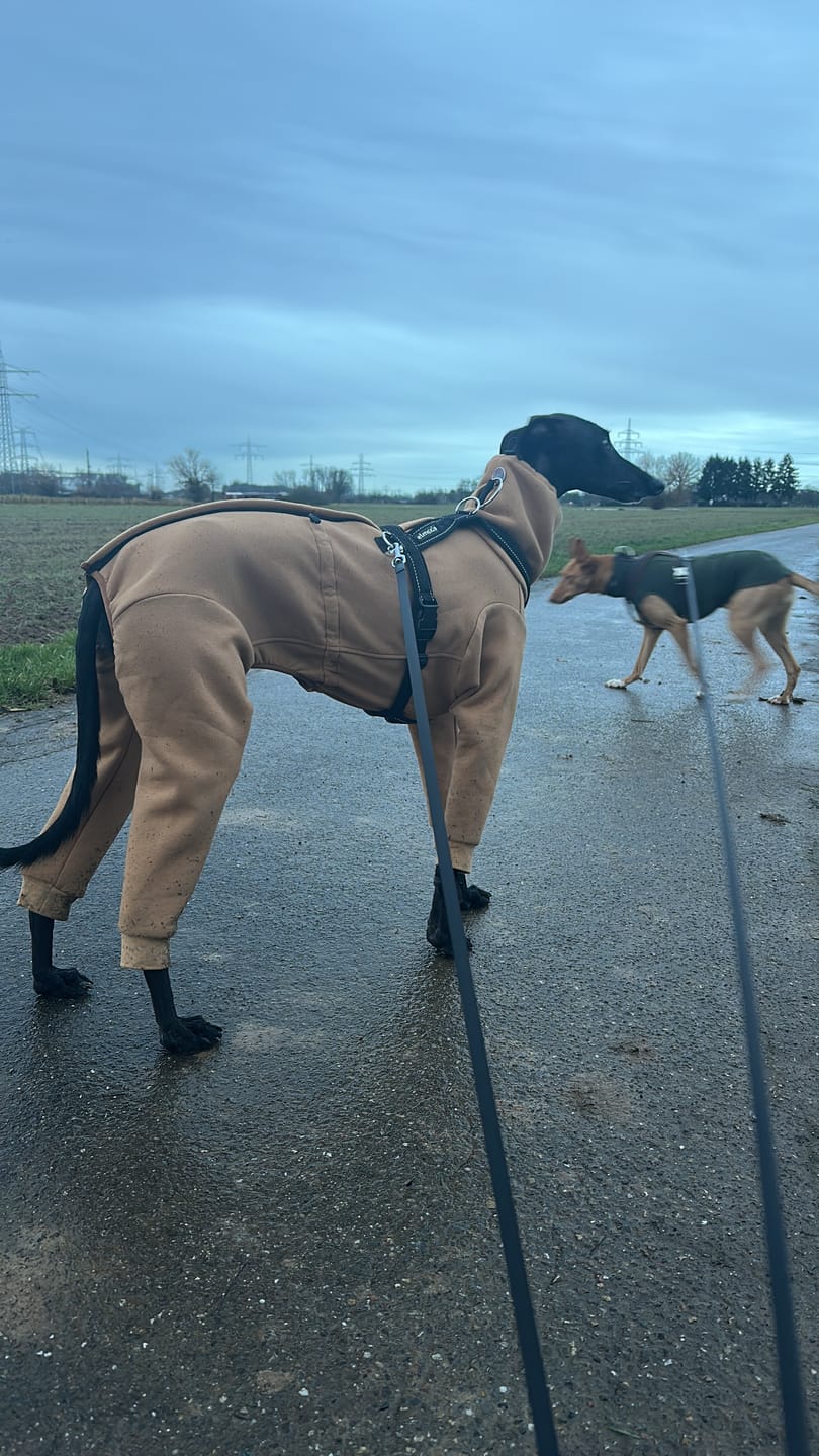 Customer photo review of Nuuk "Camel"