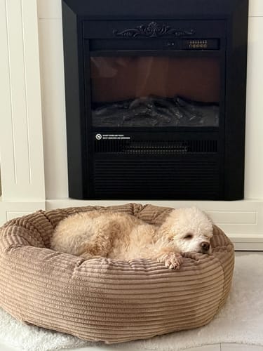 Customer photo review of CozyNest Prémium Puha Fánk Alakú Kutya és Macska Fekhely