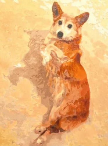 Customer photo review of Custom Pet Paint By Numbers