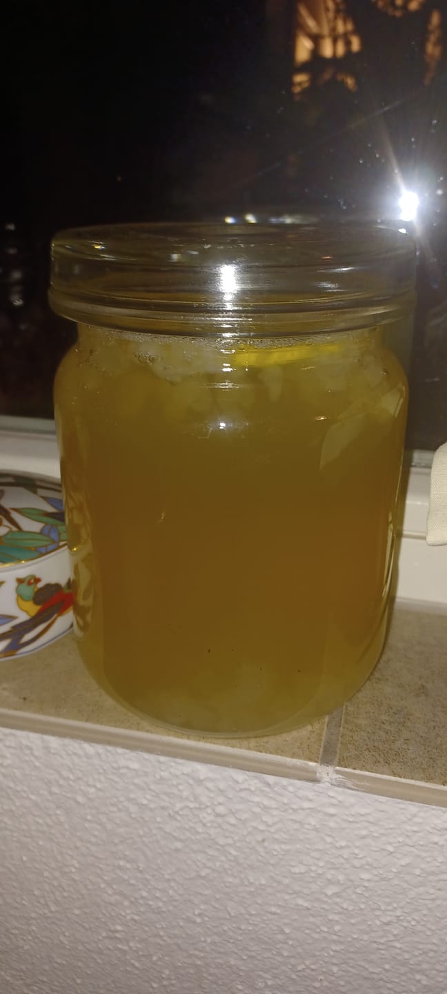 Customer photo review of Kombucha-Meisterkit: BIO Scoby & Starterflüssigkeit