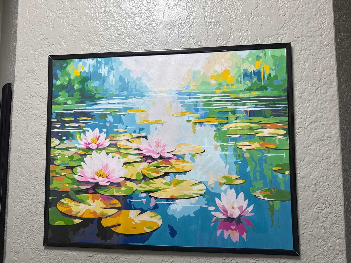 Customer photo review of Water Lillies