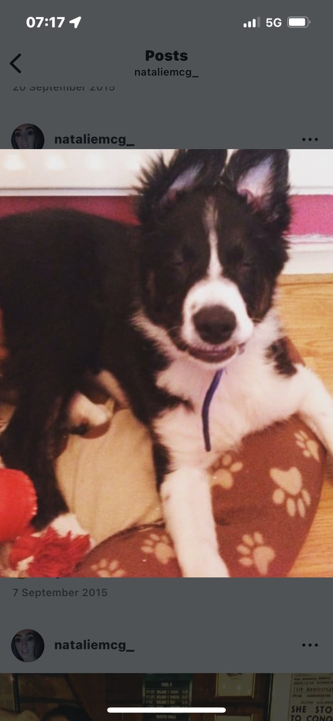 Customer photo review of Personalized Pet Keychain
