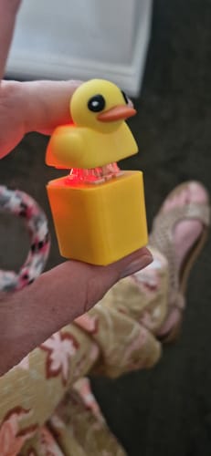 Customer photo review of 2x Quaking Sound Duck Fidget Keychain