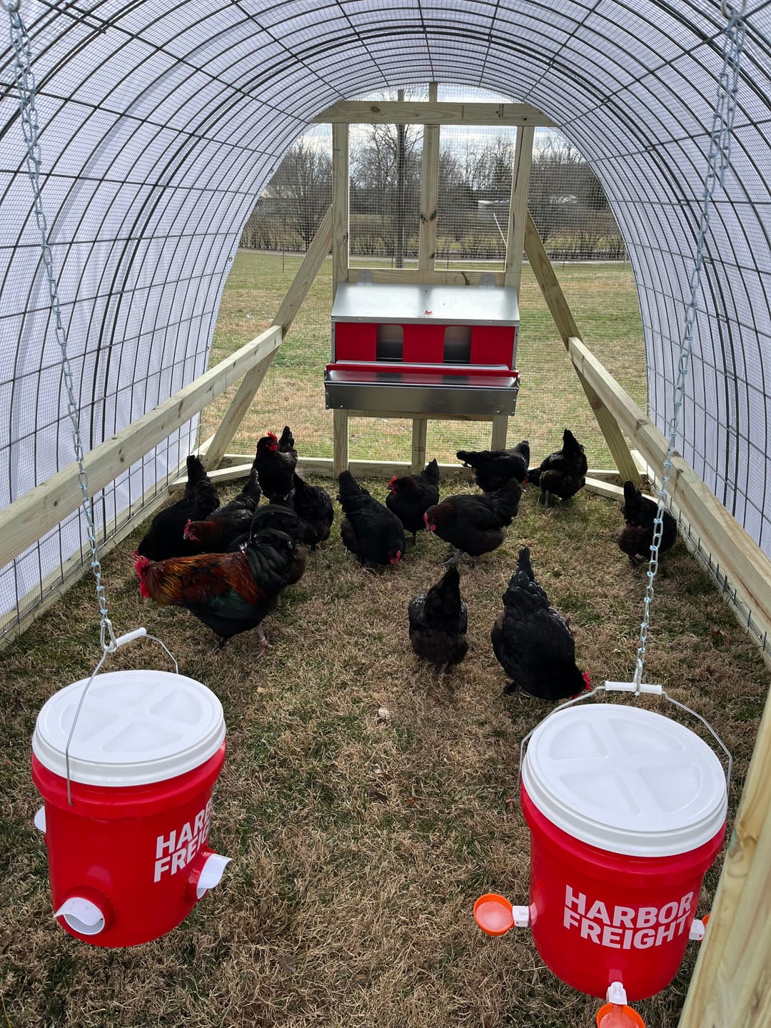 Customer photo review of Medium (34") Reversible Roll-out Nest Box (Up to 32 Hens)