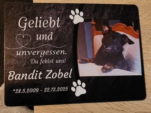 Customer photo review of Hunde Gedenktafel mit Foto & Spruch (UV- & Wetterfest)
