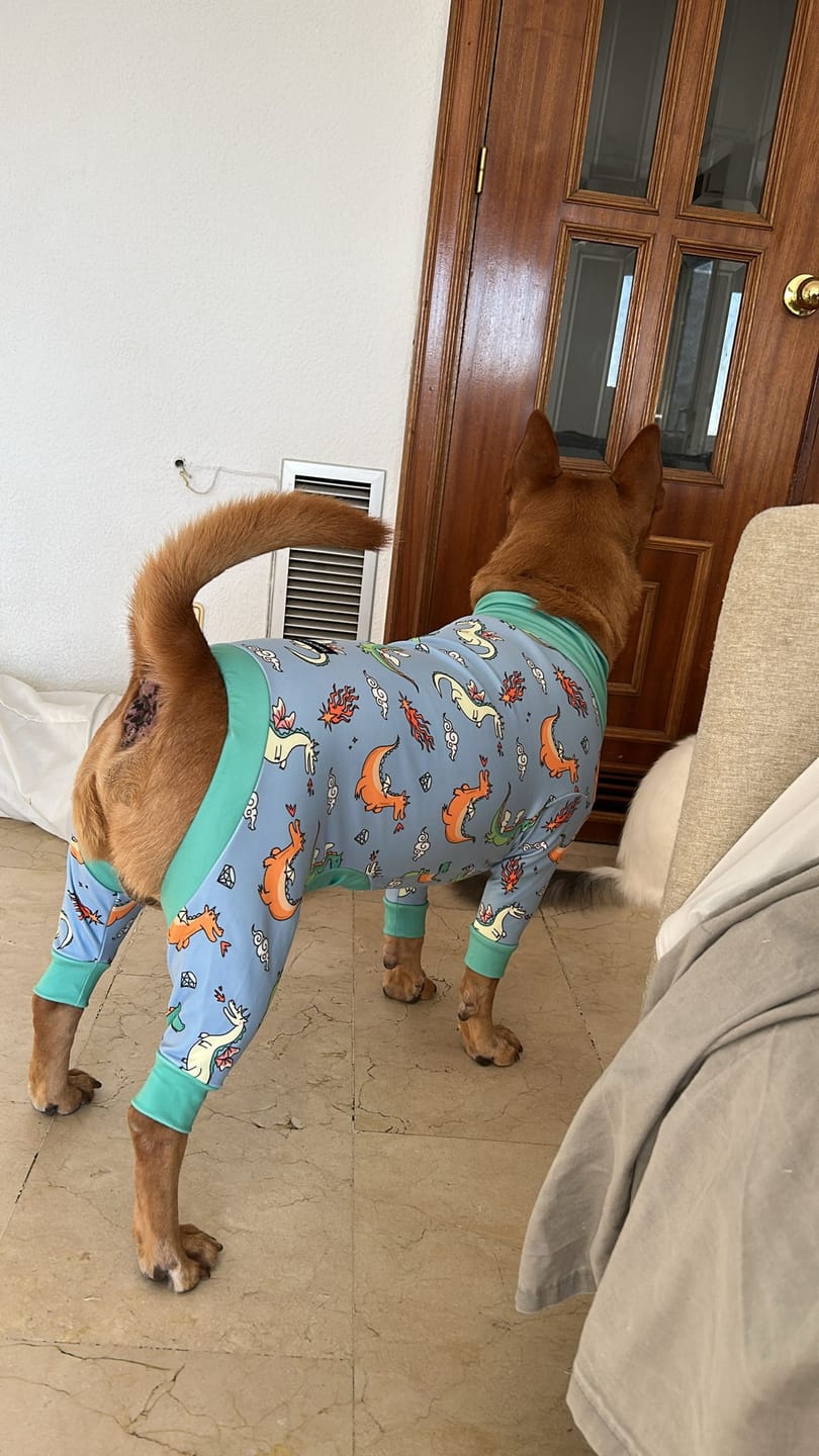 Customer photo review of Dog Pajama - Dragons