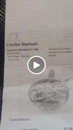 Customer video review of 🎁 FREE Rosin Vape (100% off)