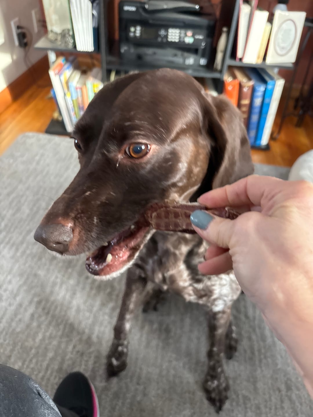 Customer photo review of 6 Inch Power Beef Sticks