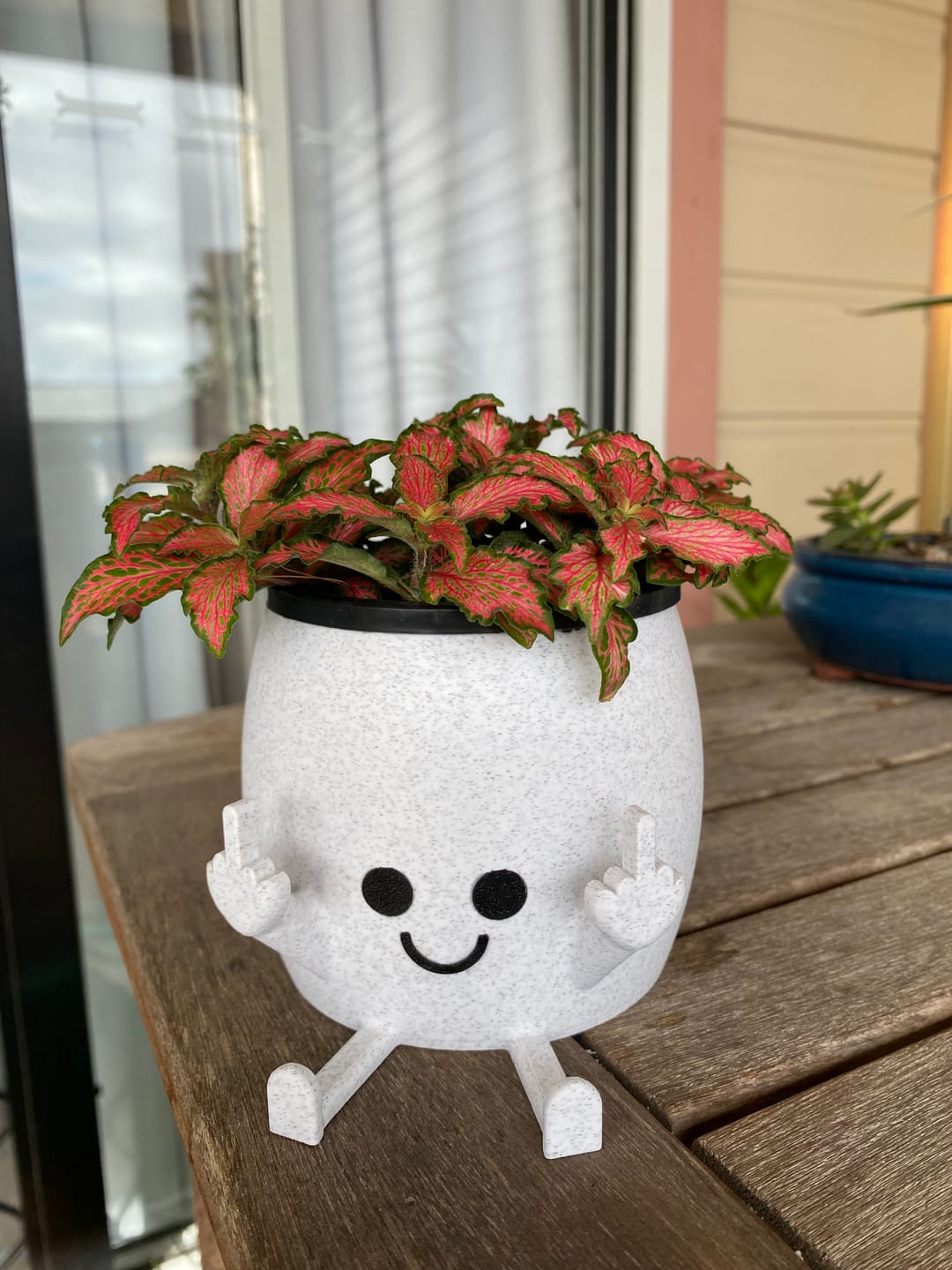 Customer photo review of Sassy & Happy 🖕 - Naughty Planter / Pen Holder
