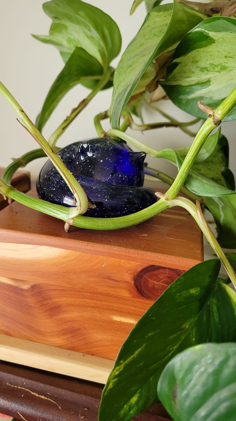Customer photo review of Sleeping Cat with Infused Cremation Ashes