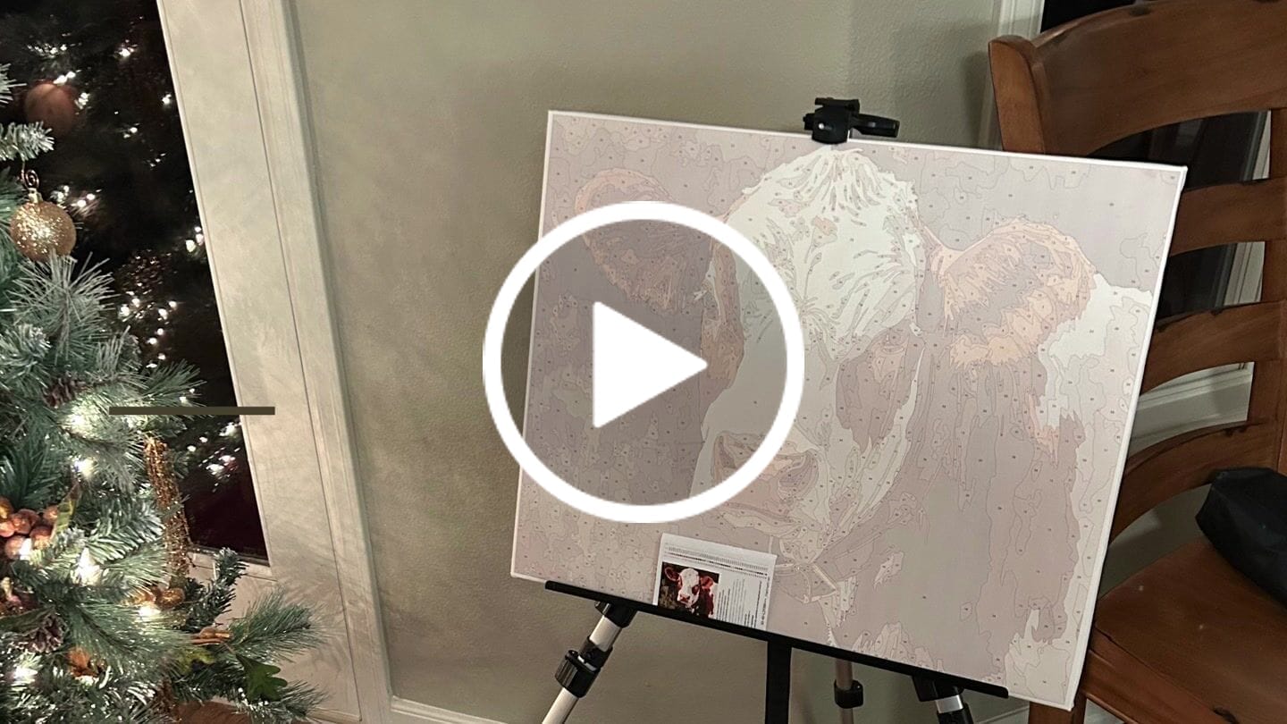 Customer video review of Cattle Portrait