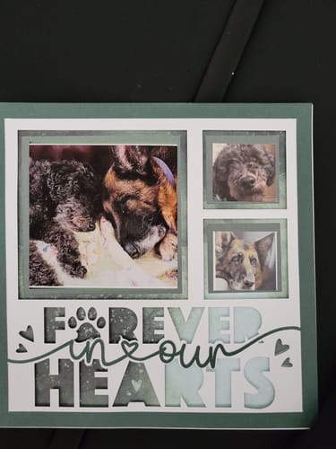 Customer photo review of Crafting Memories SVG Mega Bundle