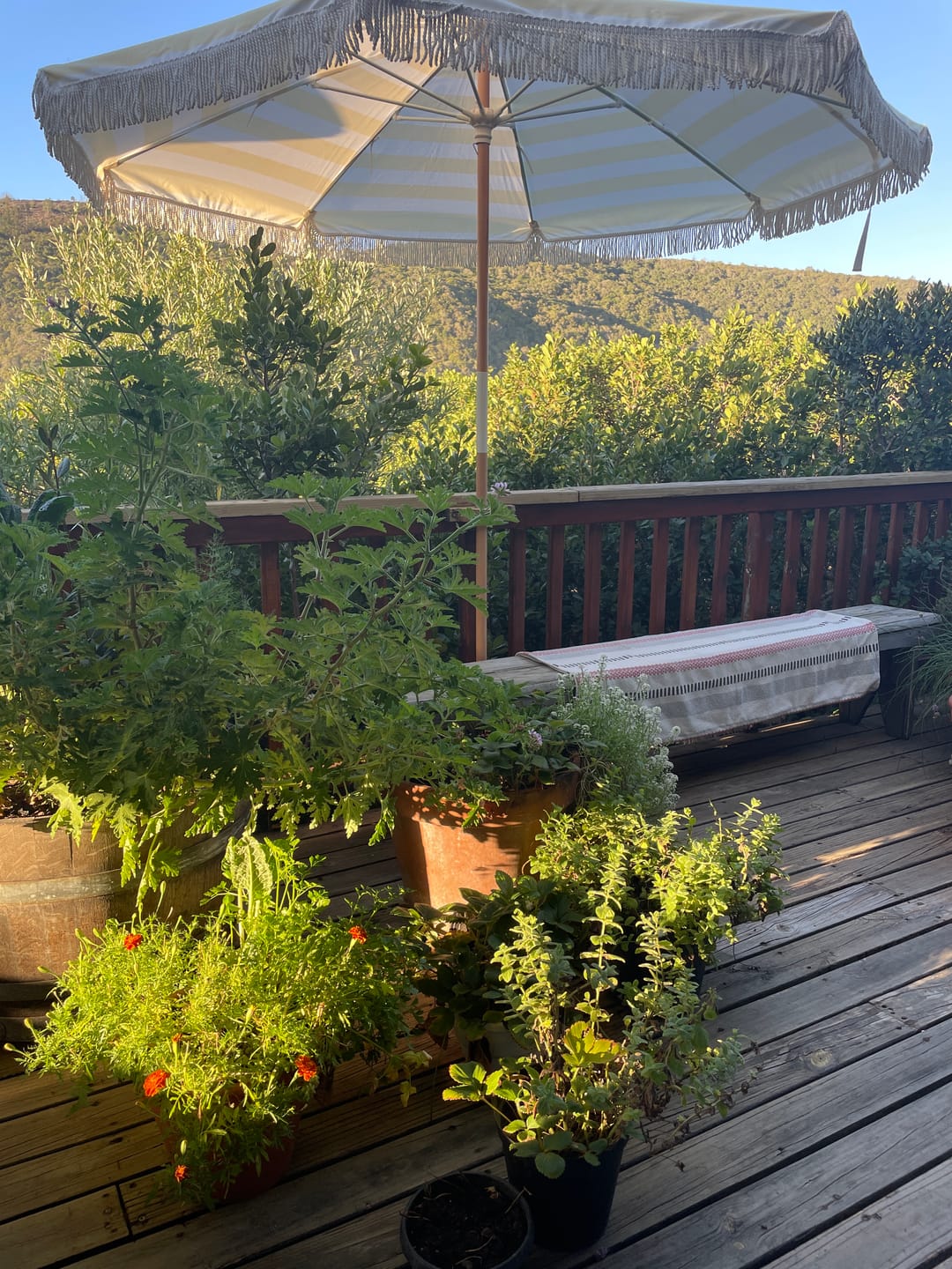 Customer photo review of The Family Umbrella (Butter Yellow)