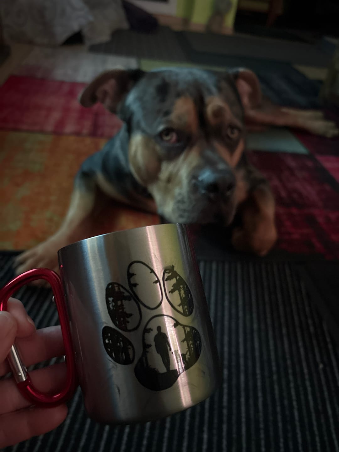 Customer photo review of Waldpfote｜Edelstahl-Tasse mit Karabiner