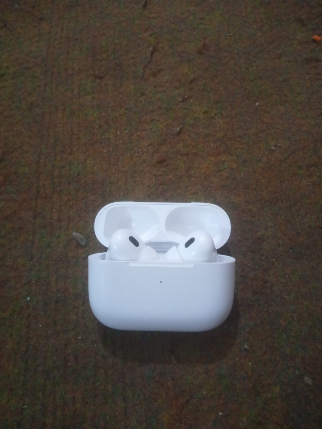 Customer photo review of LOT Earbuds - Random Color