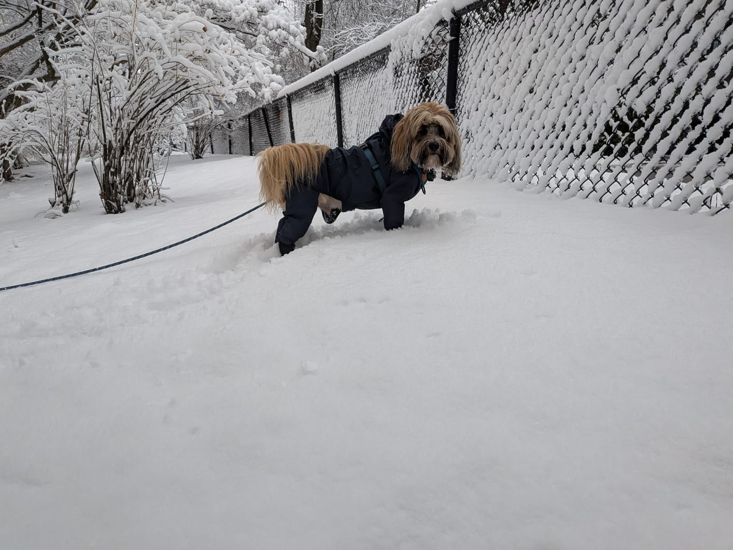 Customer photo review of Nylon Coverall