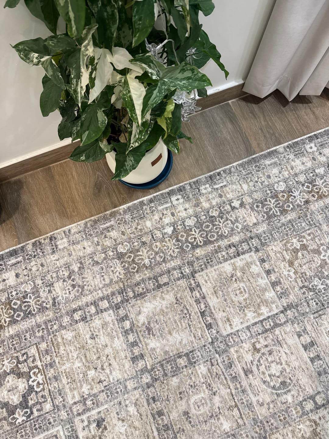 Customer photo review of سجادة مودرن - أنورا