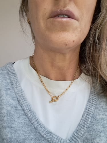 Customer wearing a gold paperclip necklace with a toggle clasp.