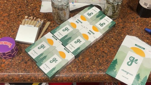 Customer photo review of Blue Dream