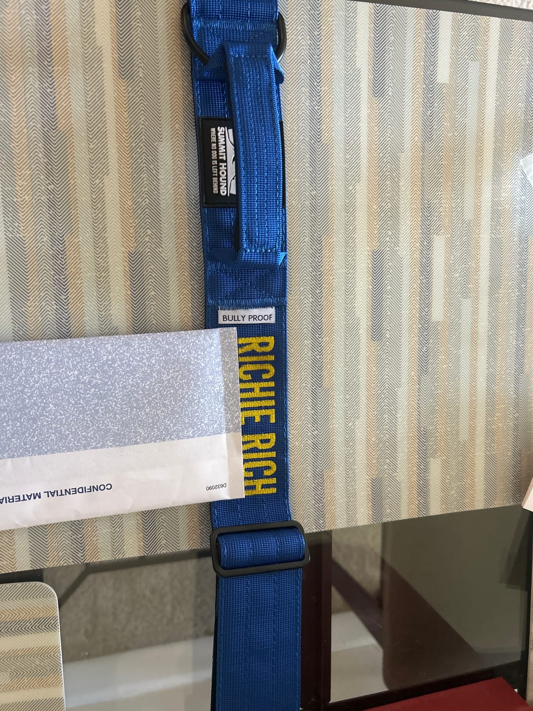 Customer photo review of Blue Bully Proof Collar