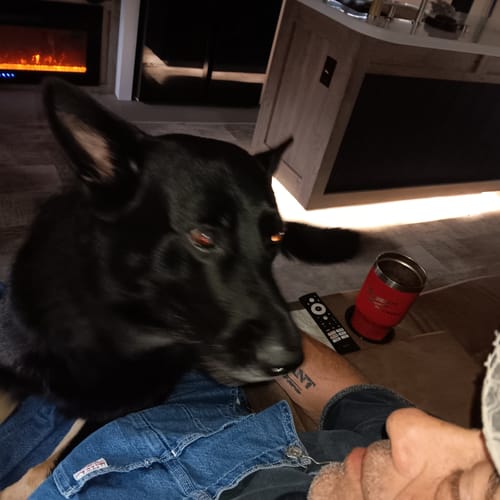 Customer photo review of ENTRY PACK LEVEL 1