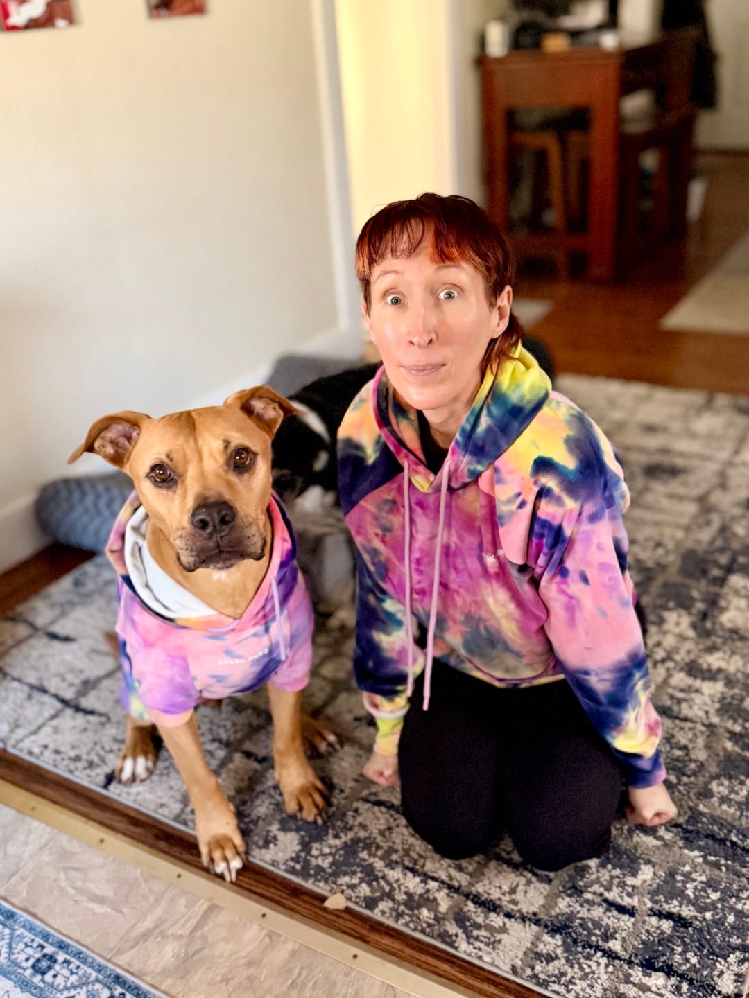 Customer photo review of Velvet Dog Hoodie - Berry Lemonade
