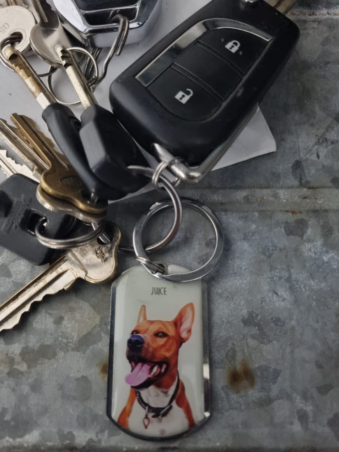 Customer photo review of Personalized Pet Keychain