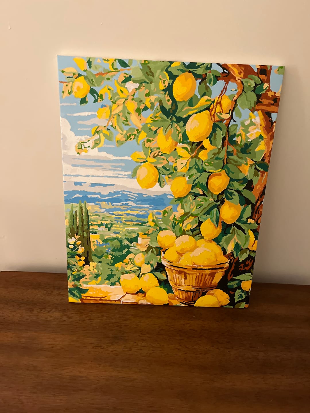 Customer photo review of Bounty Lemons