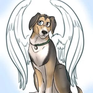 Customer photo review of Custom Pet Portrait - Cool Gift For Animal Lovers - Cartoon Caricature Dog Cat Horse Rabbit - Hand drawn from photos