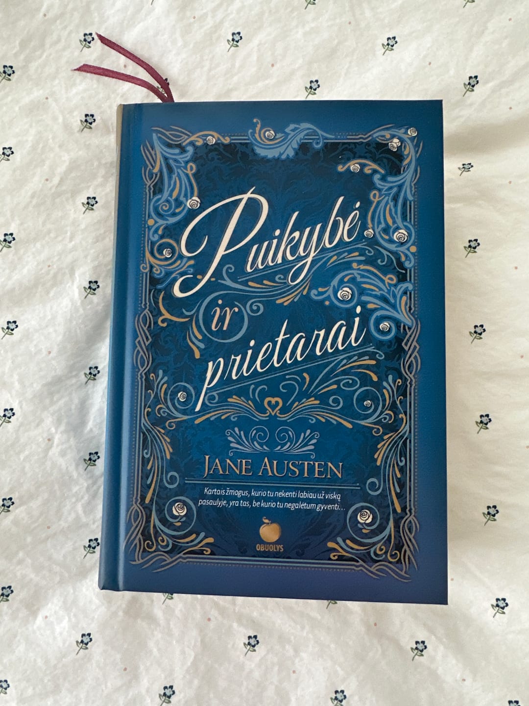 Customer photo review of Puikybė ir prietarai: įspūdingas Jane Austen klasikinės knygos leidimas su iliustracijomis ir herojų santykių schema
