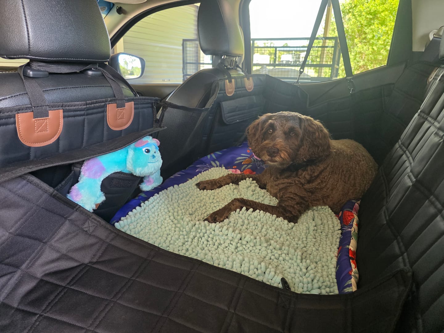 Customer photo review of Leather Backseat Extender for Dogs