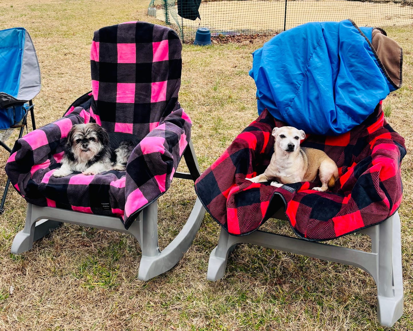 Customer photo review of The Chair Blanket
