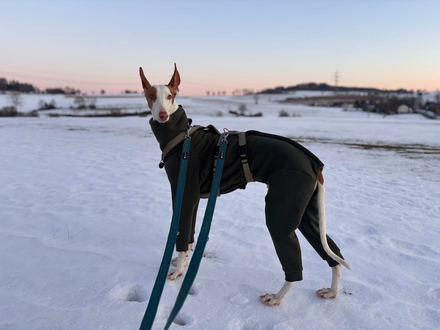 Customer photo review of Nuuk "Mountain Green"