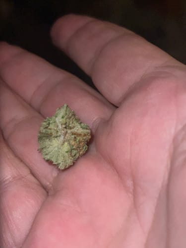 Customer photo review of Purple Milk Pre Roll 1 Gram - 6 ct.