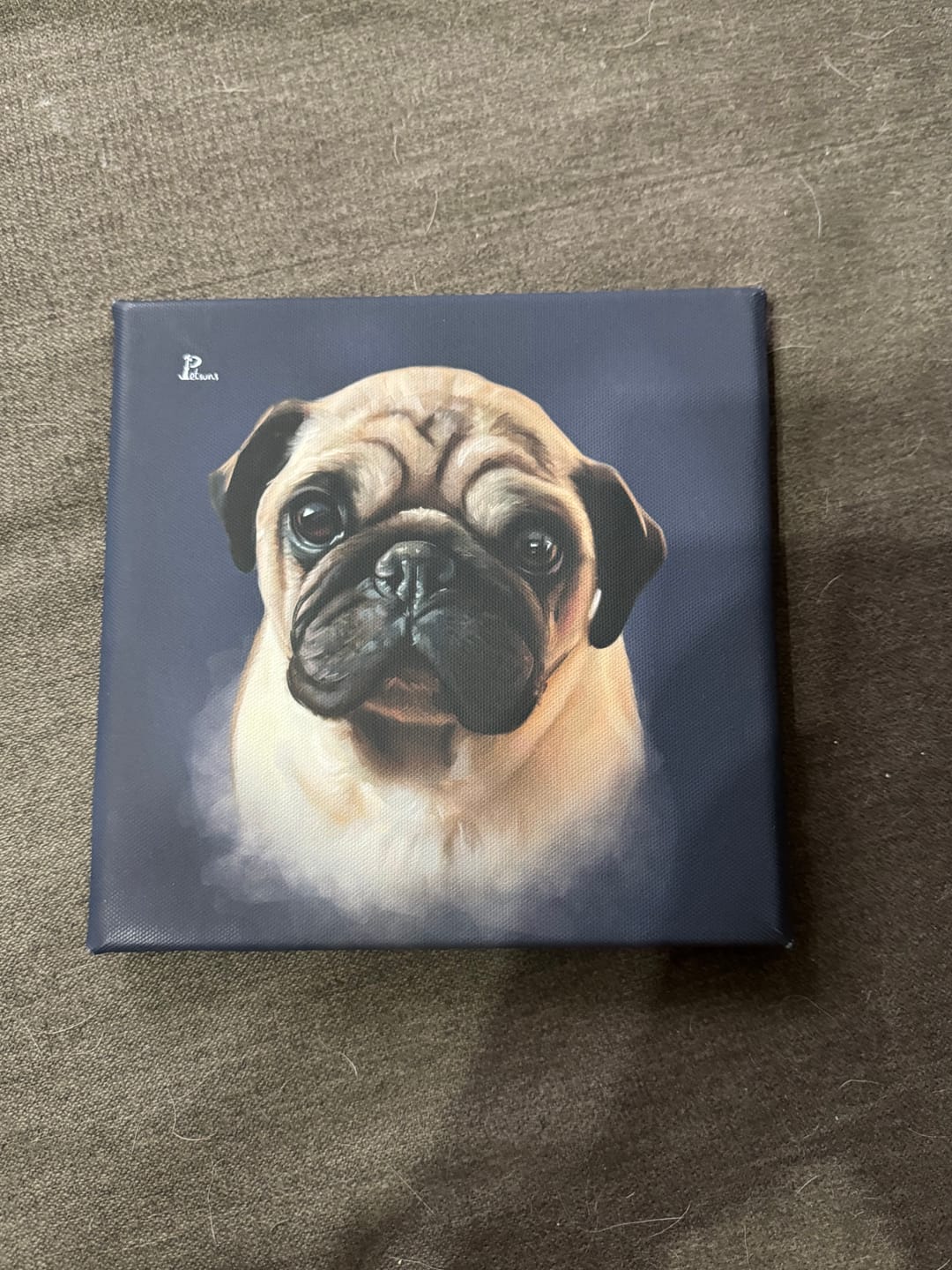 Customer photo review of Handgemaltes Haustierportrait auf Premium Leinwand im Realistischen Stil