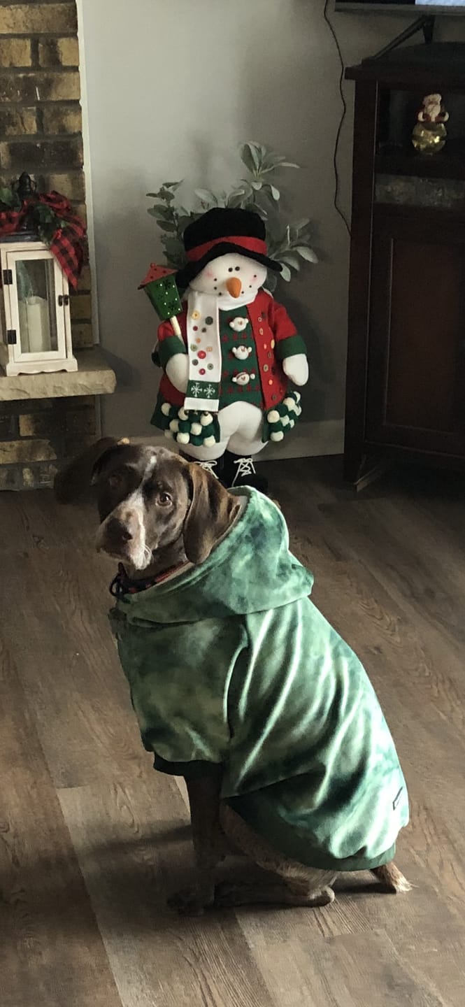 Customer photo review of Velvet Human Hoodie - Emerald Green