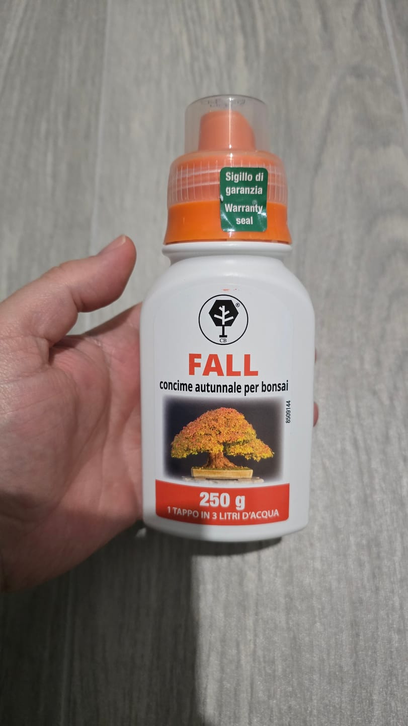 Customer photo review of FALL CB® (Autunno e Inverno)
