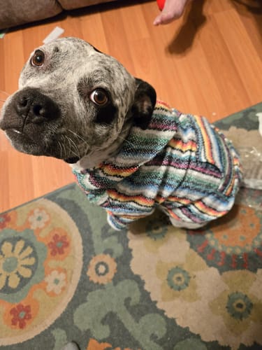 Customer photo review of Playa Poncho – Mystery Color (Bella, Charlie, or Fun Edition)