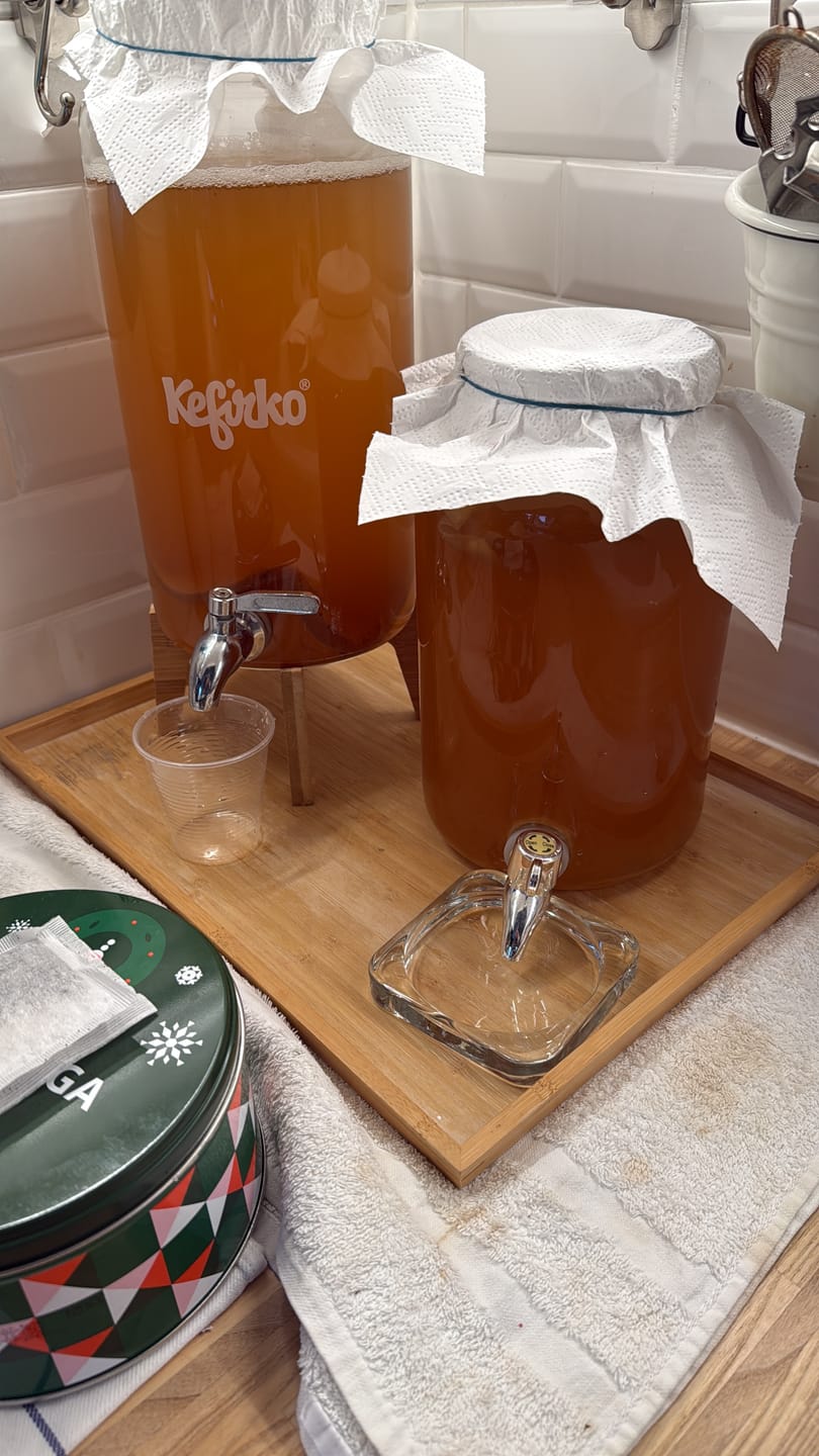 Customer photo review of KEFIRKO DIY Kombucha Fermenter-Set 4L / 4 Farben