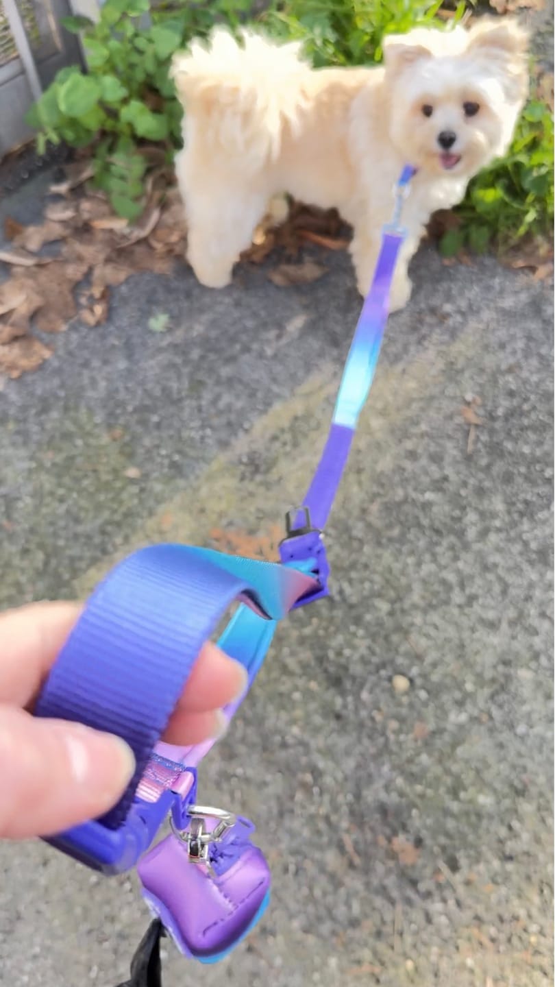 Customer photo review of Multipurpose Seatbelt Handsfree Leash & Poop Bag Holder Set - 90s Retro