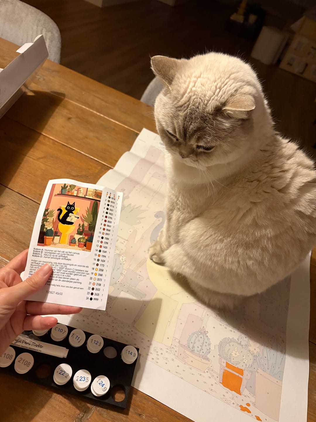 Customer photo review of De zwarte kat op het toilet