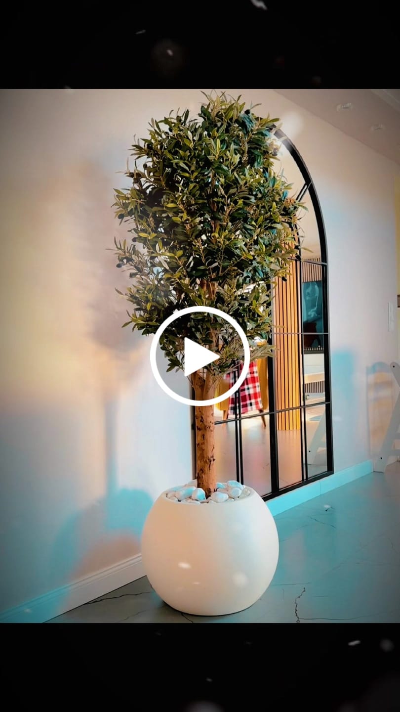 Customer video review of Künstlicher Olivenbaum 160cm Deluxe