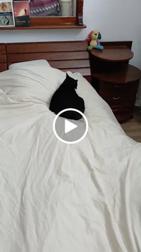 Customer video review of סט כותנה מלא מוקה