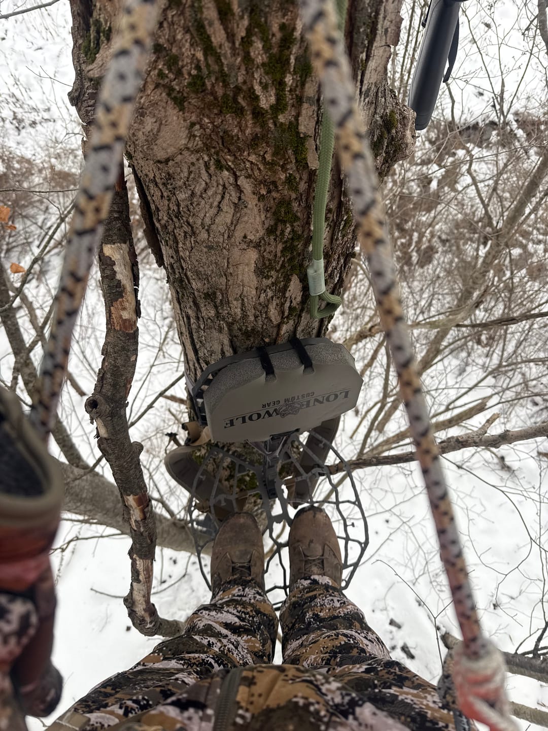 Customer photo review of RANGER HYBRID™