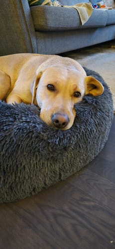 Customer photo review of CalmBed - Motverkar stress & hjälper mot ångest