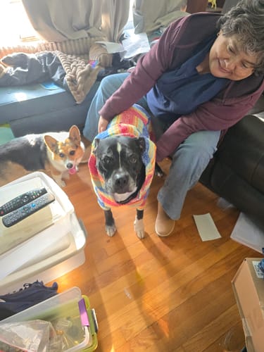 Customer photo review of Playa Poncho – Parrotfish