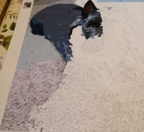 Customer photo review of Custom Pet Paint By Numbers