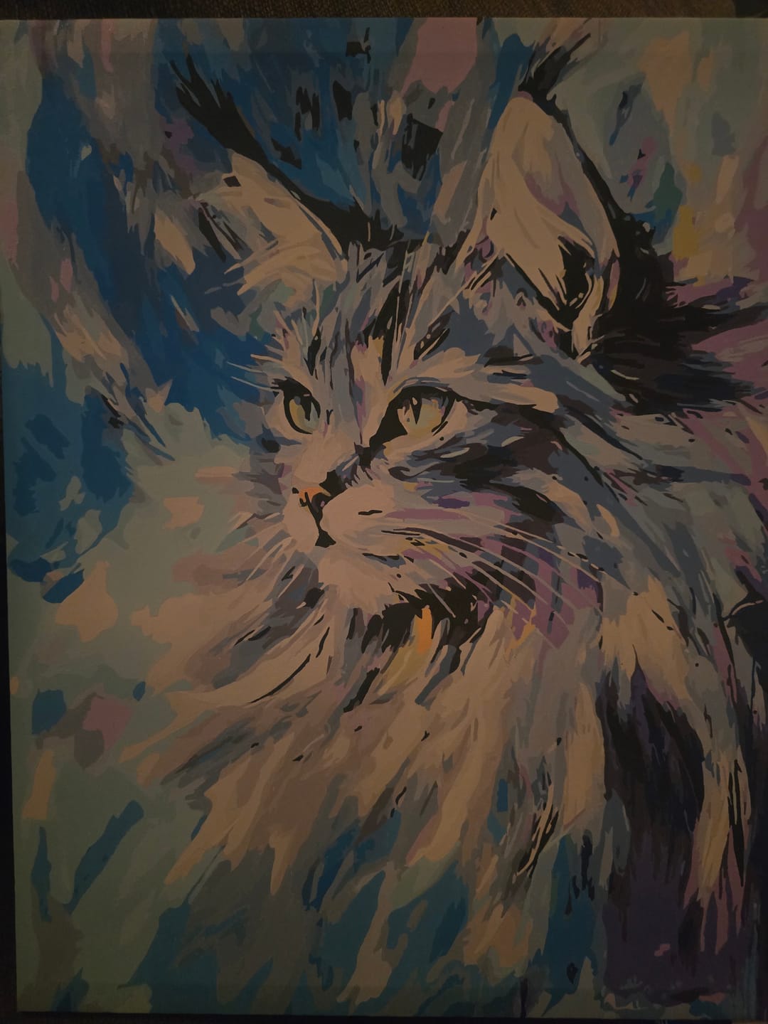 Customer photo review of Abstract Maine Coon