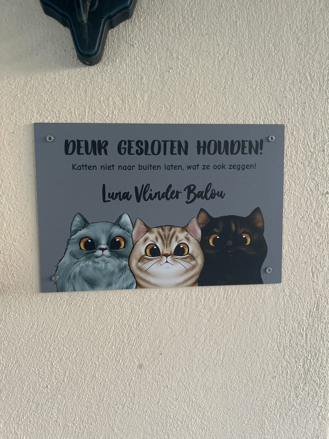Customer photo review of Nieuwsgierige katten - Gepersonaliseerde deurbord