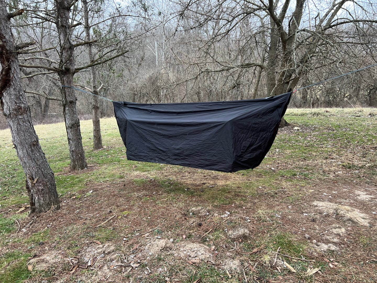 Customer photo review of Haven Spectre